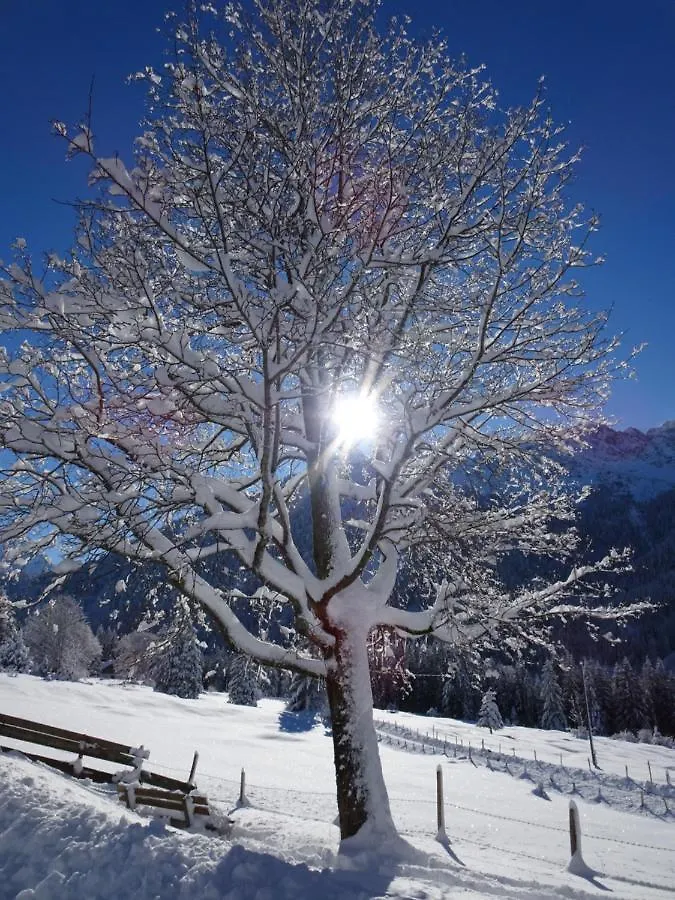 Gruener Hut - Dein Berghotel Bad Hindelang